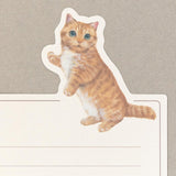 Juego de mini letras VILLE et Minou Mimi 